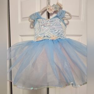 Ballet Costume Pink and Blue